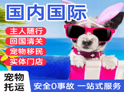 福成国际宠物托运 【国